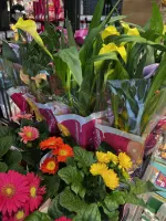 🌻Égayez votre journée!🌸